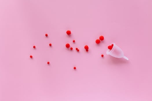 Sociální Dopady Plastů: Zdraví, Alternativy a Regulace