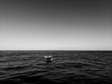 Minimalismus v obalech: Jak chrání naše životní prostředí?