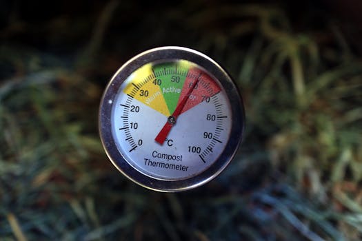 Kompostovatelné obaly: Jak chrání životní prostředí?