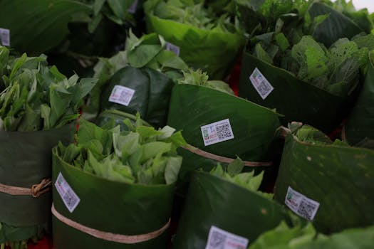 Biodegradabilní Obaly: Klíč k Udržitelnému Zemědělství